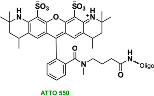 Bio-Synthesis Inc. Oligo Structure